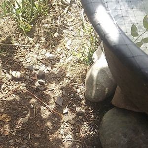 Meet your Posher, Hugh